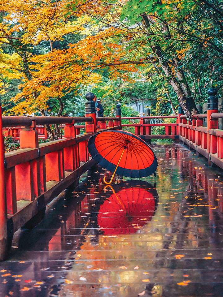 「加賀の國の風景」部門 最優秀賞　西田恭史さんの作品「恵みの秋雨」