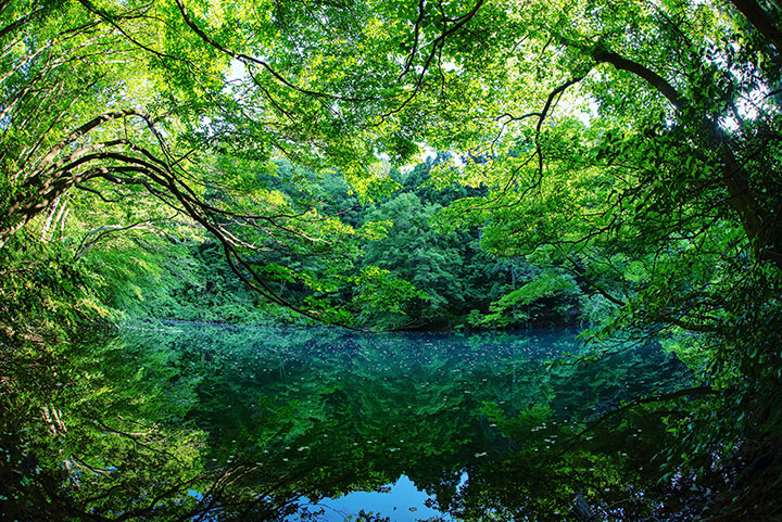 「加賀の國の風景」部門 入賞　タケベハルタカさんの作品「蟹の淵」